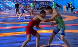 Борцы греко-римского стиля завершили первенство страны